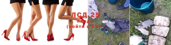 сатива Белоозёрский