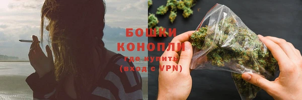 сатива Белоозёрский