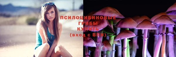 гидра Бугульма