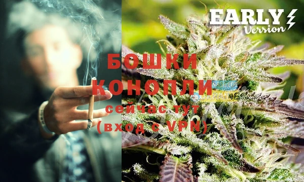 гашик Белокуриха
