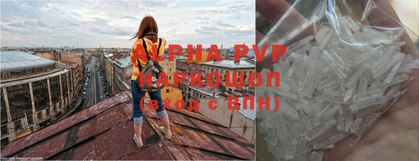 сатива Белоозёрский